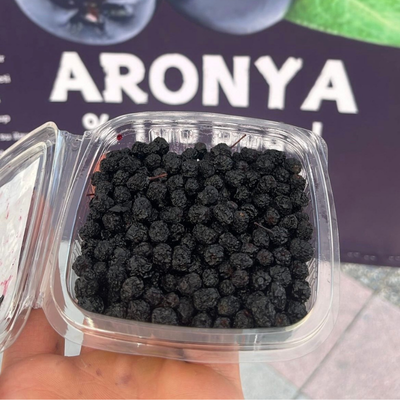 bursa-iznik-aronya-kurusu