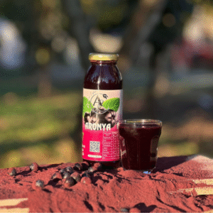 bursa-iznik-aronya-suyu