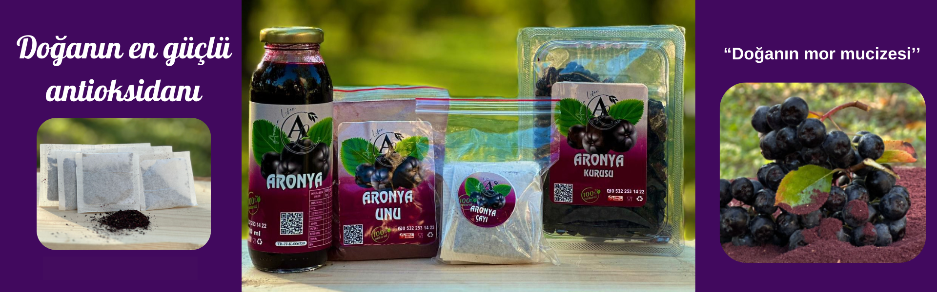 bursa-aronya, iznik-aronya